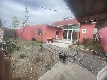 3 otaqlı ev: Həyət evi satılır/– geniş həyətli, təkmərtəbəli - Plan: Təkmərtəbəli — 3