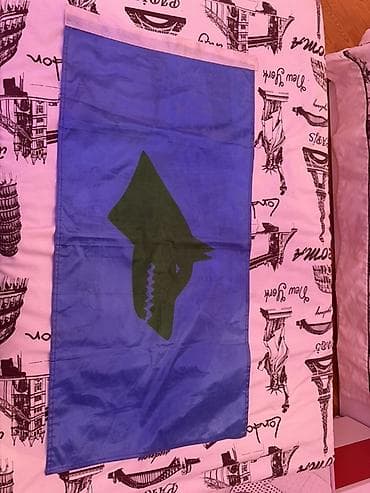 3D ручки: Məhsul: Göytürk bayrağı Təsvir: - Rəng: Göy fon, üzərində tünd yaşıl — 2