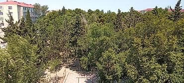 şerifzade kucesi: 4 otaqlı, Yeni tikili, 82 kv. m — 5