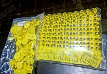 İribuynuzlu heyvanlar üçün birka və kəlbətin