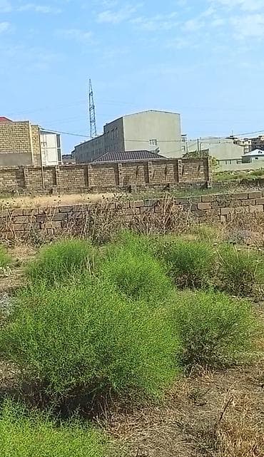topaq: 9 sot, Tikinti, Kupça (Çıxarış) — 6