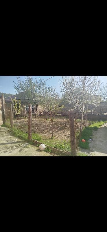 2 sot, Biznes üçün, Mülkiyyətçi, Kupça (Çıxarış)