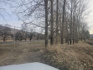 Bağ evləri: 12 sot, Tikinti, Mülkiyyətçi, Kupça (Çıxarış) — 9