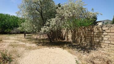 bir sot torpaq nece metrdir: 25 sot, Tikinti, Makler, Kupça (Çıxarış) — 7