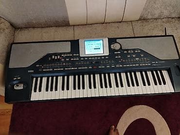 ucuz modem: Korg pa800 - Korg sintizatorları üçün uyğun PCM/Flash yaddaş kartı - — 1