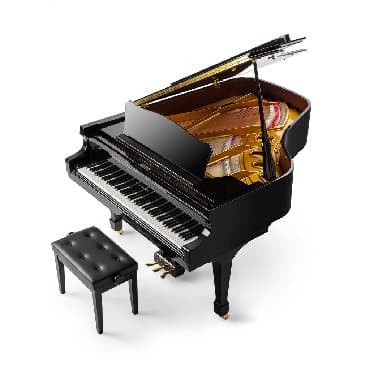 royal music: Royal, Wagner, Akustik, Pulsuz çatdırılma — 1