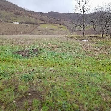 ucuz torpaqlarin satisi: Kənd təsərrüfatı — 6