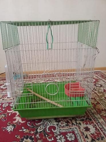 qefes satisi: Real Alıcıya Endirim Olajax Quş qəfəsi – orta ölçülü, ev quşları üçün — 2