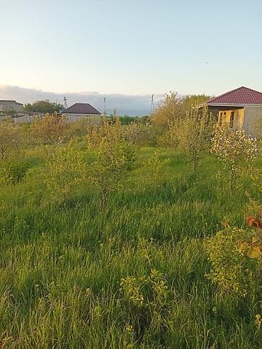 kənd əhmədli: 6 sot, Biznes üçün, Mülkiyyətçi, Kupça (Çıxarış) — 10