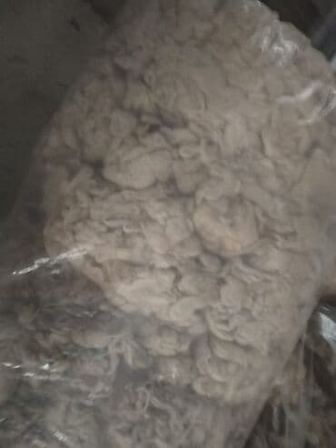 Продукты питания: Məhsul: Qoyun yunu – iri həcmlərdə, şəffaf polietilen kisələrdə — 3