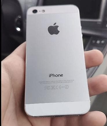 IPhone 5s, Gümüşü, Barmaq izi