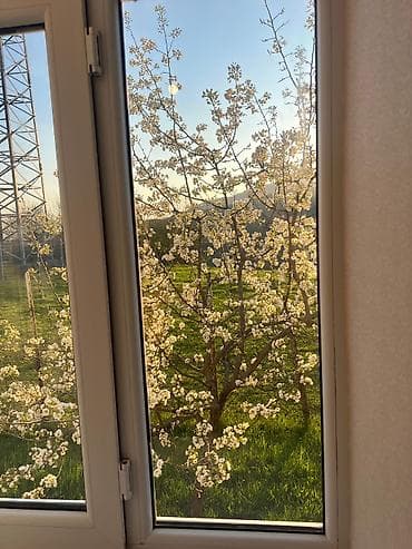 снять комнату в общежитии: Şamaxı Rayonu Sis kəndi birbaşa dağlara açılan panarama gözəl təbiət — 10