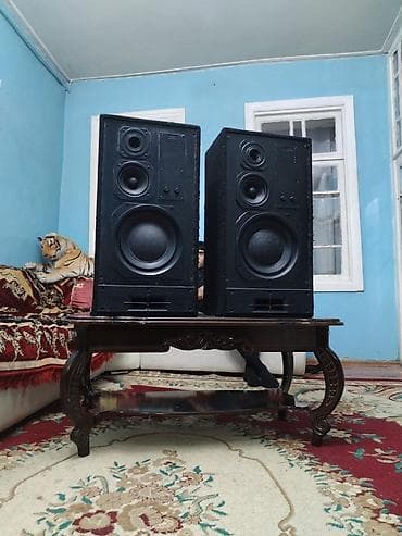 kalonka dinamik satisi: Tecili satilir.630 azn 🔔 Technics SU-V50 stereo inteqrasiya olunmuş — 2