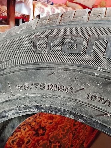 Atlar: Satılır: toyuqlar hamsı cavandı yeni yurtlamağa başlayıblar - Növlər — 4