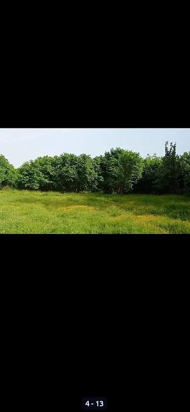 a frame ev tikintisi: 80 sot, Mülkiyyətçi, Kupça (Çıxarış) — 4