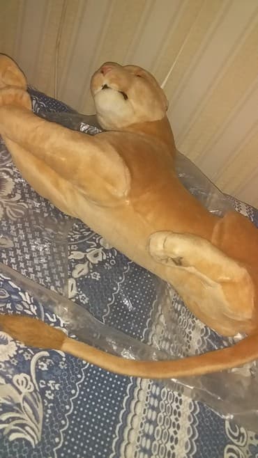 tetris qiymeti: Pələng tam təzədir.27 il əvvəl Amaydan alınmışdır.Sanki canlını — 3