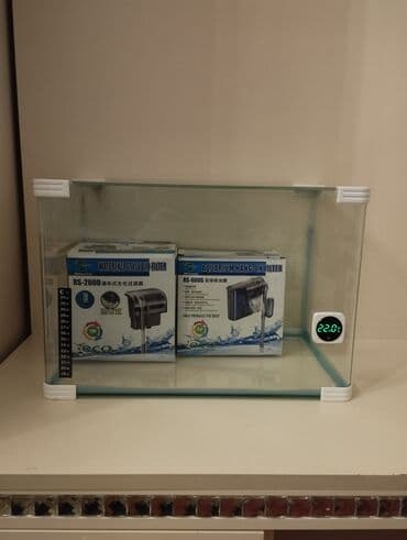 heyvanlara verilen xususi adlar: Şüşə akvarium və filtr dəsti - Ölçü: orta həcmli, şüşə korpus — 1