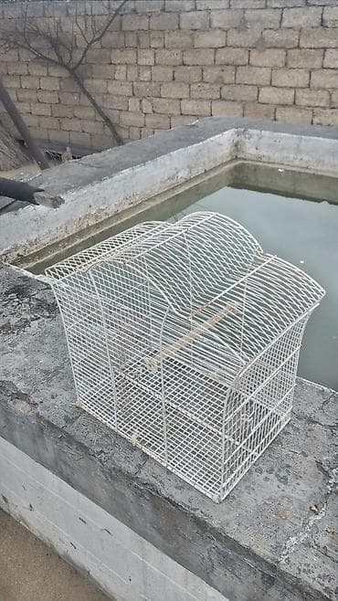 Ağ metal quş qəfəsi - Material: toz boya ilə örtülmüş metal tor -