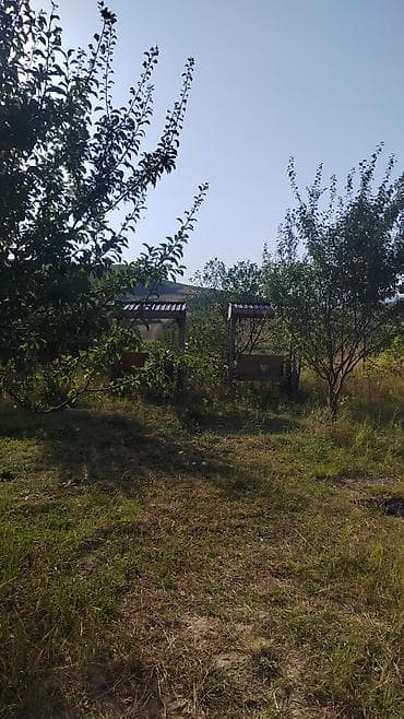 cinarli park ev satilir: Şamaxı, 1100 kv. m, 6 otaqlı, Hovuzlu — 4
