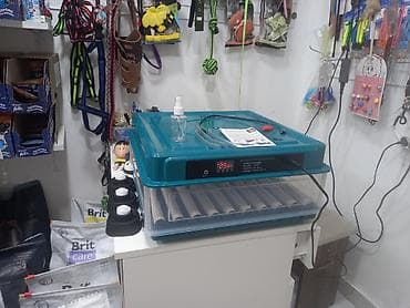 Оборудование для производства: Tam avtomatik inkubatorlar satılır. Toyuq, hinduşqa, qaz, ördək — 5