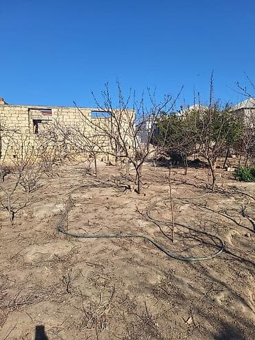 bine qesebesinde: Kənd təsərrüfatı — 2