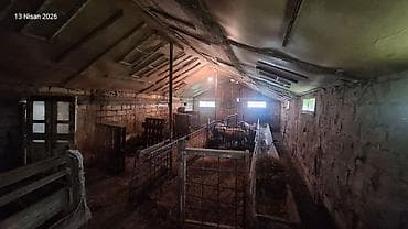 əmircanda ev: Dağ ətəyində yerləşən FERMA 2 hektar erazi iribuynuzlu ve — 6