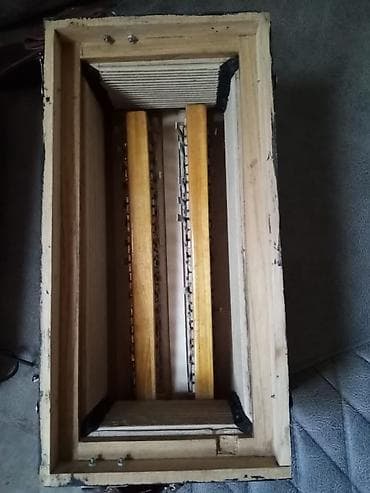 rusiyada saat necedi: Qarmon, Akustik, Yeni — 6