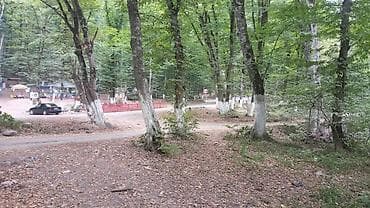 170 sot, Biznes üçün, Mülkiyyətçi, Kupça (Çıxarış)