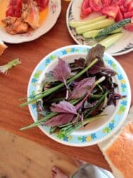 Qadın, 40 il, 3-5 illik təcrübə lalafo.az -da Qadın, 40 il, 3-5 illik təcrübə