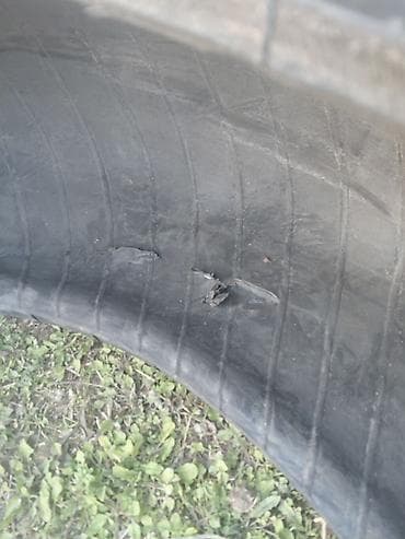 təkər kameri: Kənd təsərrüfatı texnikası üçün təkər (traktor təkəri) - Növ: arxa — 3