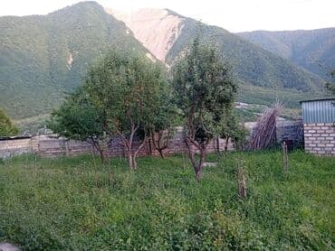 qis parki kiraye evler: 5 otaqlı, 1000 kv. m, Kredit yoxdur, Yeni təmirli — 4