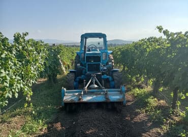 volkswagen passat b5 1 8: Трактор Belarus (MTZ) 82, 1985 г., 82 л.с., мотор 4.7 л, Б/у — 1