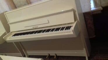 terlan elekberov: Pianino PETROF Cexya stehsalı. Ideal vəziyyədə. Cadırılma və köklənmə — 2