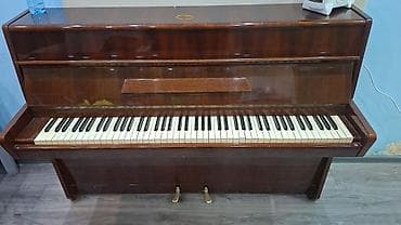 Клавишные инструменты: Пианино, Petrof, Акустический — 3