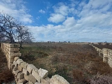 albaliliq torpaq satilir: 8 sot, Tikinti, Mülkiyyətçi, Kupça (Çıxarış) — 5