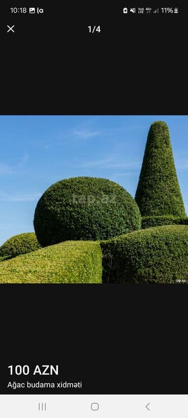 Digər tikinti xidmətləri: Ağac budama xidməti – 100 AZN Peşəkar bağ və ya həyət üçün formaverən — 1