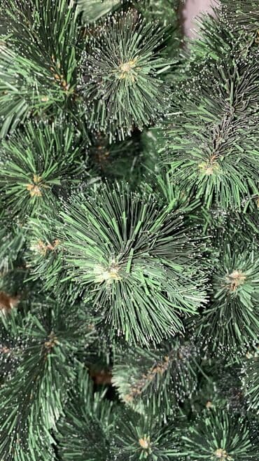 şam qapılar: Şam ağacı 210sm — 2