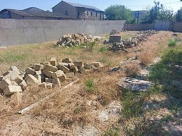 su bacok: Tikinti, Mülkiyyətçi, Kupça (Çıxarış) — 7