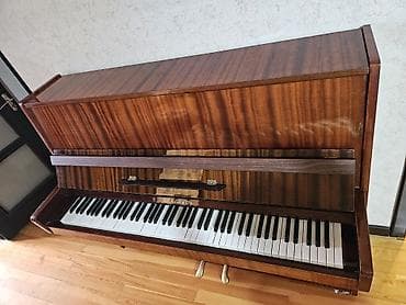 Belarus upright piano - Marka/model: “Belarus” (upright/piano) - — 3