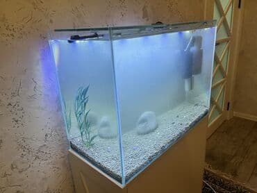 Akvarum hamısı bir yerde satılır içide bitgi quruntu filtiri rengli