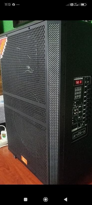 Karaoke: Güclü portativ akustik sistem - Böyük ölçülü, metal torlu korpus – — 2