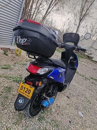 ucuz mapetler: . Xüsusiyyətlər və təchizat: - Markalanma: ZIG ZAG/DNL yazılı korpus — 2