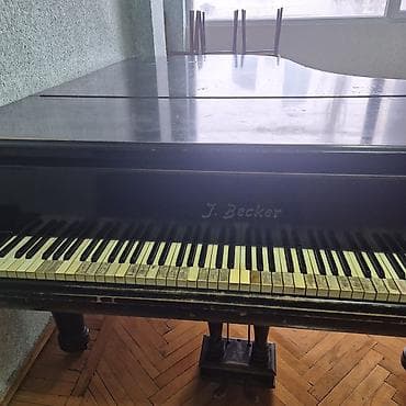 Royallar: Royal, Akustik, İşlənmiş, Ünvandan götürmə — 10