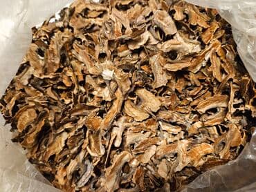 Stəkanlar: Qozun pərdəsi — 2