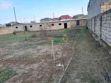 7 sot, Tikinti, Mülkiyyətçi, Kupça (Çıxarış) lalafo.az -da 7 sot, Tikinti, Mülkiyyətçi, Kupça (Çıxarış)