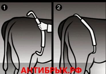 Inəklər, öküzlər: Tekmə sever . Anti brık Turkiyə istehsalı Metal Yeni. Təkmə önləyici — 5