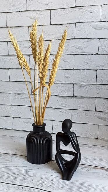 komedixana bilet 2025: Sifariş onceden goturulur.
Qiymet modele gore deyisir — 17