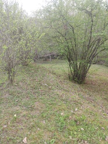 cennet park musfiq qesebesi: Satılır: təbiət qoynunda yaşıllıqla əhatələnmiş torpaq sahəsi — 1