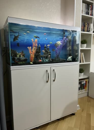 Akvarium-şkaf, Balıqlarla birlikdə, 150 l lalafo.az -da Akvarium-şkaf, Balıqlarla birlikdə, 150 l