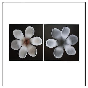 dekor qrup: “Magnolia” tablosu, İsveç - Ölçü: 50x50 sm - Qiymət: 10 AZN Təsvir — 1
